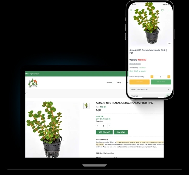 How a Pet Supply Brand Moved from WooCommerce to Zyfoo in Just 2 Days How a Pet Supply Brand Moved from WooCommerce to Zyfoo in Just 2 Days
